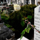 Koszorúzás a köztemetőben - Március 15.