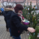 Karácsonyfa díszítő verseny