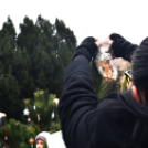 Karácsonyfa díszítő verseny