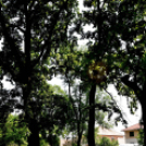 Szépkorúaknak szerveztek sportnapot