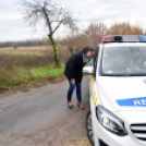 Megérkezett a város karácsonyfája