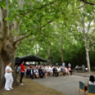 Semmelweis nap Cegléden