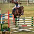 II. Ceglédi Vágta - kísérő rendezvények