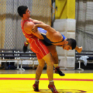 NB I-es birkózó csapatbajnokság -A- csoport