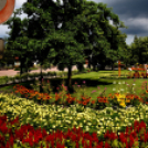 Kovács Zoltánra emlékeztek Csemőben