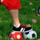 Őszköszöntő a Vörösmarty téren (CFE)