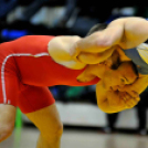 NB I-es birkózó csapatbajnokság -A- csoport