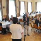 Város Bora választás 2015