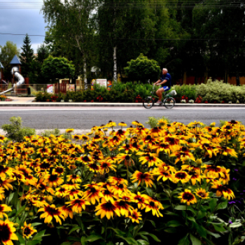 Kovács Zoltánra emlékeztek Csemőben