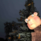 Óriások a Szabadság téren