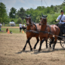 Ahol még a lovak is asztalhoz ülnek...