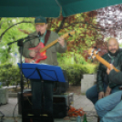 Utcazene fesztivál és koncertek