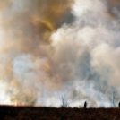 Száraz növényzet égett