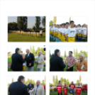 Ez történt Cegléden 2012