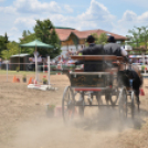 Ahol még a lovak is asztalhoz ülnek...