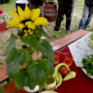 Anyámtyúkja - Csemő