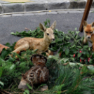 Ünnepeltek a vadászok