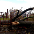 Októberi orkán Cegléden