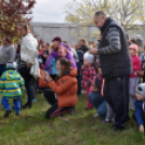 Elefántok érkeztek a Vörösmarty térre