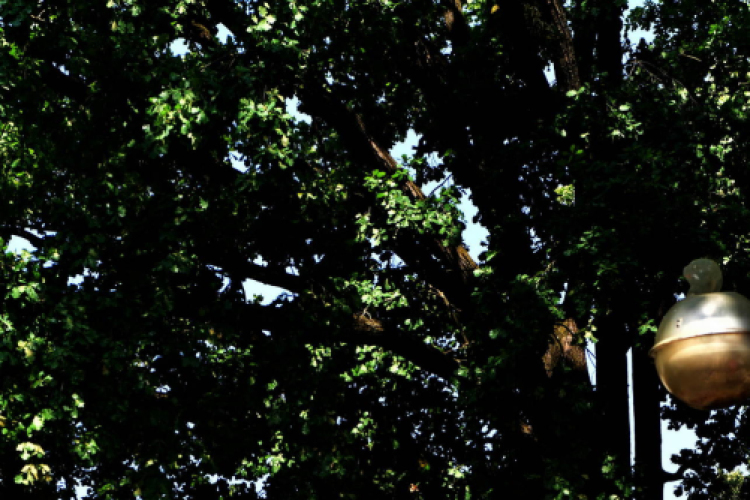 Szépkorúaknak szerveztek sportnapot