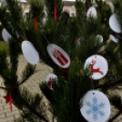 Karácsonyfa díszítő verseny