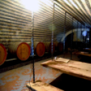 Kíváncsi vagy milyen pincék lapulnak Cegléd alatt?