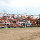 IX. Bor és Laskafesztivál - IV. Ceglédi Vágta