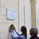 Városalapítók napja Cegléd