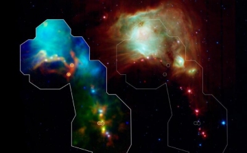 A valaha látott legfiatalabb csillagok egy csoportját fedezték fel