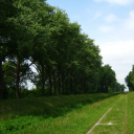 Az ismeretlen Cegléd