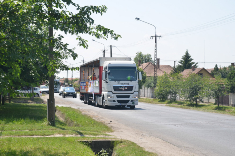 Bor és laskafesztivál - I