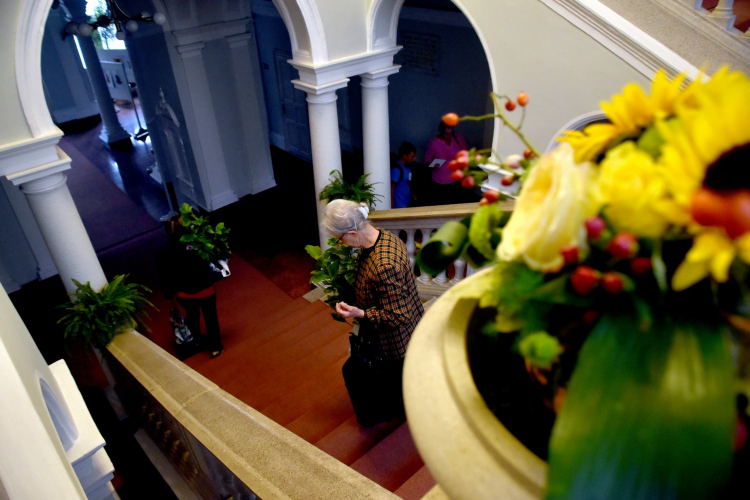 Legszebb kertek - legszebb rajzok Cegléden