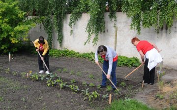 A ,,Törődés napja’’