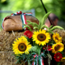 Szent István ünnepe a Gubody kertben