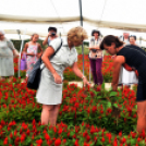 Kovács Zoltánra emlékeztek Csemőben