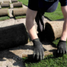 Füvesítik a strandot