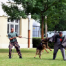 Honvédelmi napot tartottak a Mezgázban
