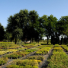 Színpompás bemutató