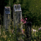 ,,Tudom e mérni a mérhetetlent’’