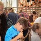 Családi tökfaragás - Oázis Kertészeti Áruház