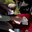 Virágvásár és főzőfesztivál Csemőben