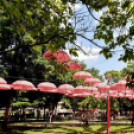 Pöttyös gyermeknap 2019