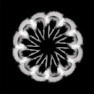 ARTpoétika - Sallai Jutka fotói