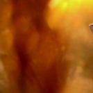 MAFOSZ kiállítás képei