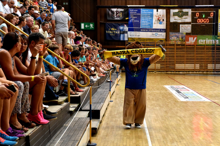 CEGLÉDI KK SE - Telekom Veszprém 24 - 40  (12 - 21)