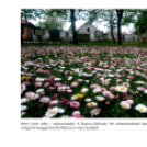 Ez történt Cegléden 2014-ben