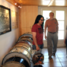 Nemzetközi Dobos Gála 19. I.