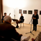 Felfüggesztett pillantásaim - Baán Katalin kiállítása Dabason 