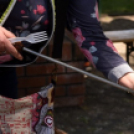 Virágvásár és főzőfesztivál Csemőben