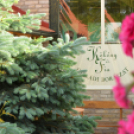 Nyitott Pince Napok - Kökény és Fia Családi Borászat